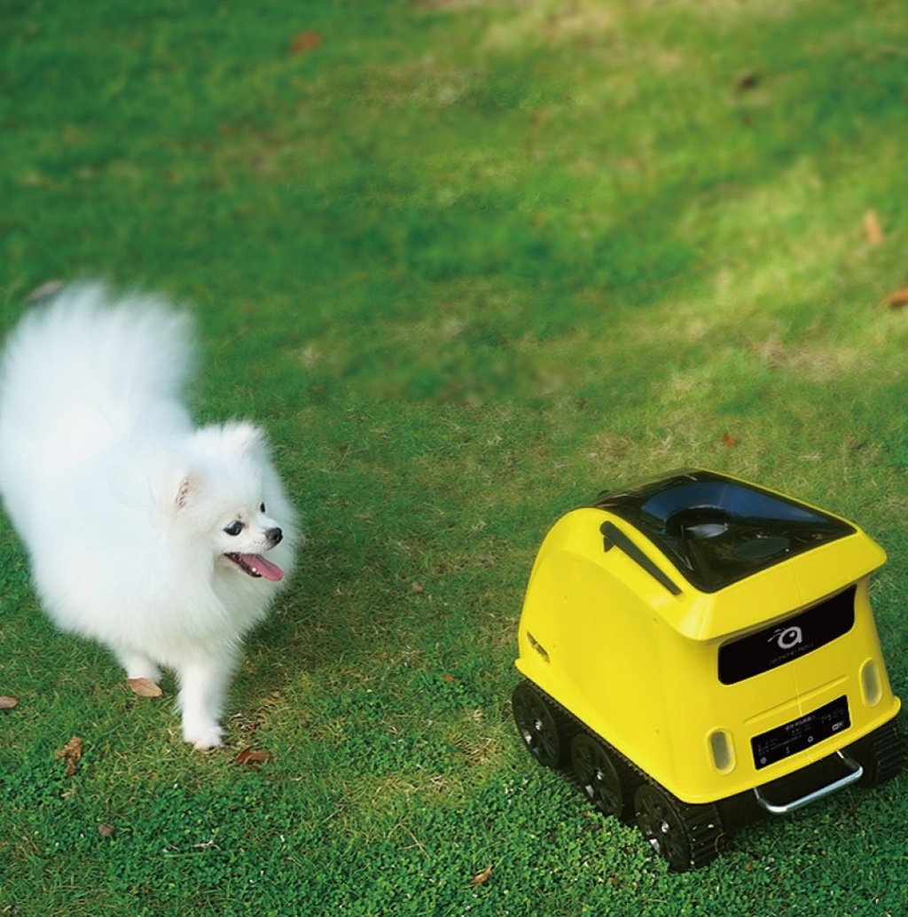 The Buddy+ dog companion features a walkie-talkie function and can move around at a speed controlled by the pet owner.