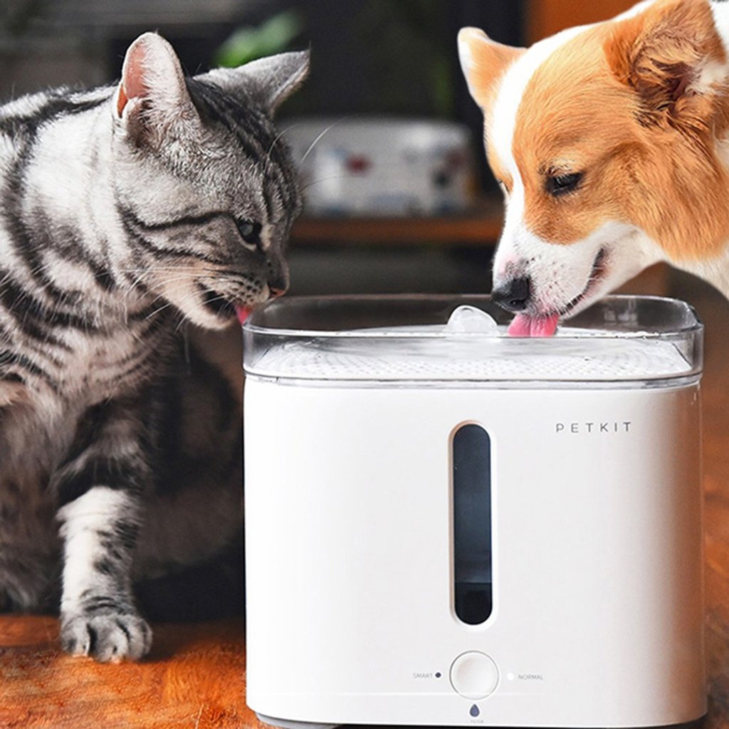 Petkit water dispenser Petkit water dispenser