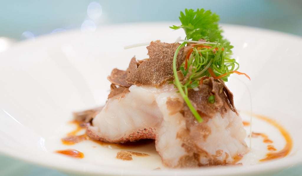 Steamed giant grouper with egg white topped with shaved tuber magnatum