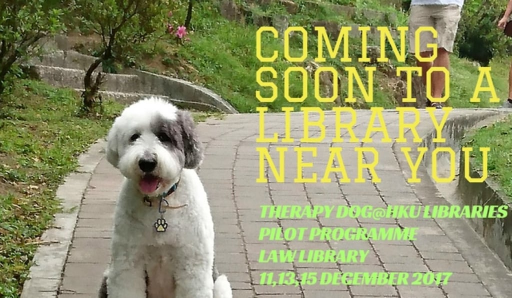 Jasper features on a poster at HKU. Photo: Handout Jasper features on a poster at HKU. Photo: Handout