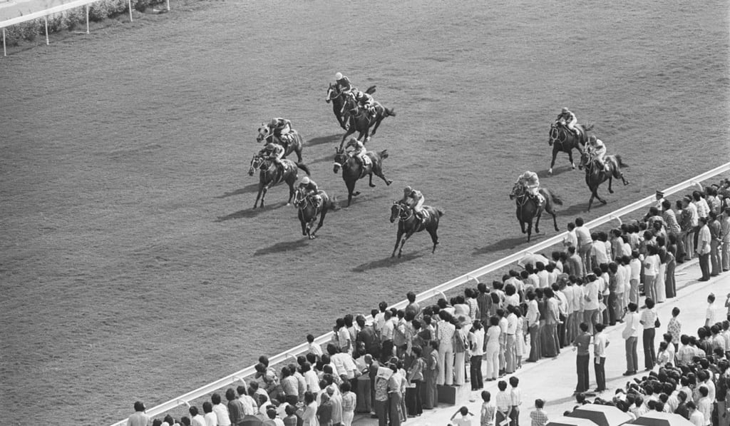 Opening day races at the Sha Tin Racecourse. Photo: C.Y. Yu