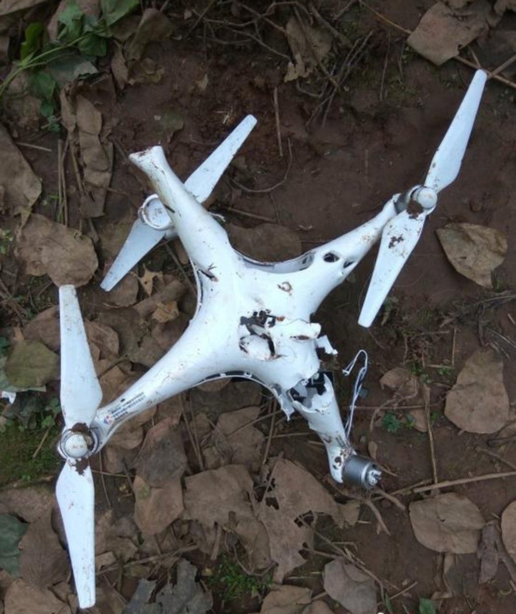 The photographer’s drone was not beyond the big cats’ reach. Photo: CNA