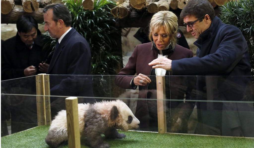 French First lady Brigitte Macron attends a naming ceremony of the newborn baby panda Yuan Meng' on Monday at Beauval zoo. Photo: EPA French First lady Brigitte Macron attends a naming ceremony of the newborn baby panda Yuan Meng' on Monday at Beauval zoo. Photo: EPA