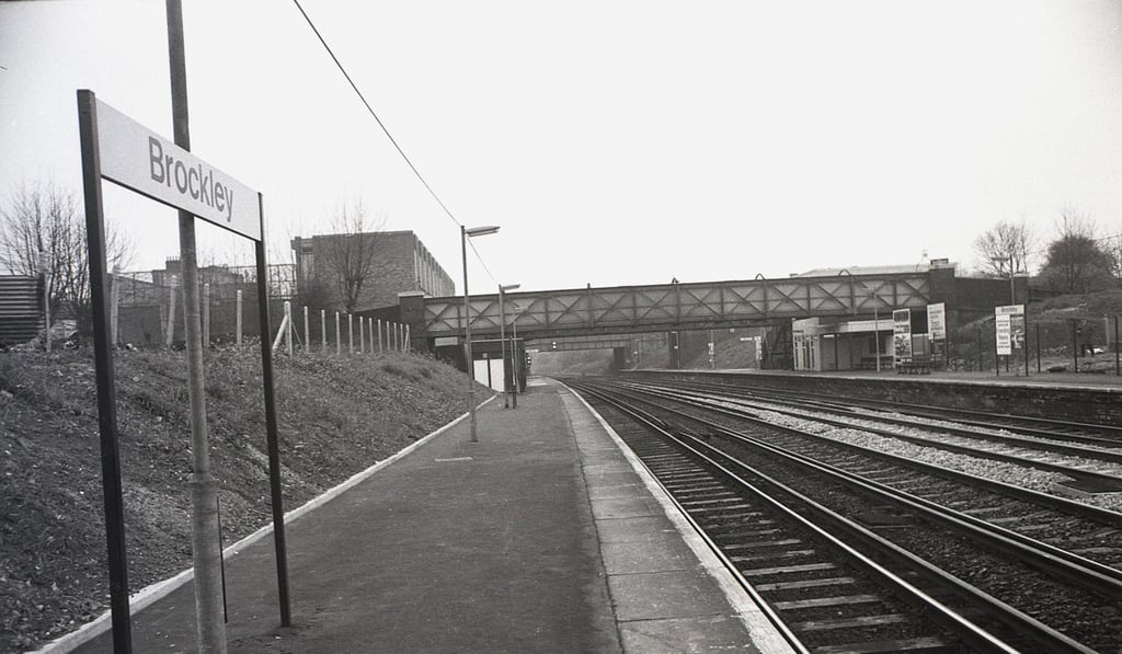 Brockley train station, in southeast London, in 1972. Picture: Alamy