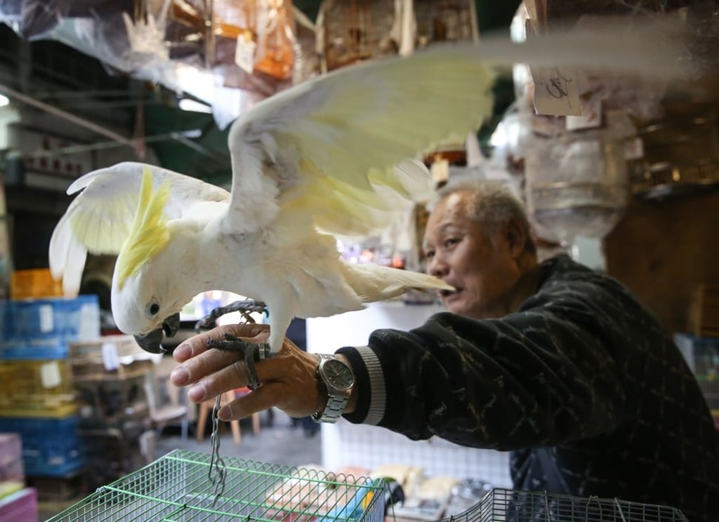 Mr Chan with his bird.