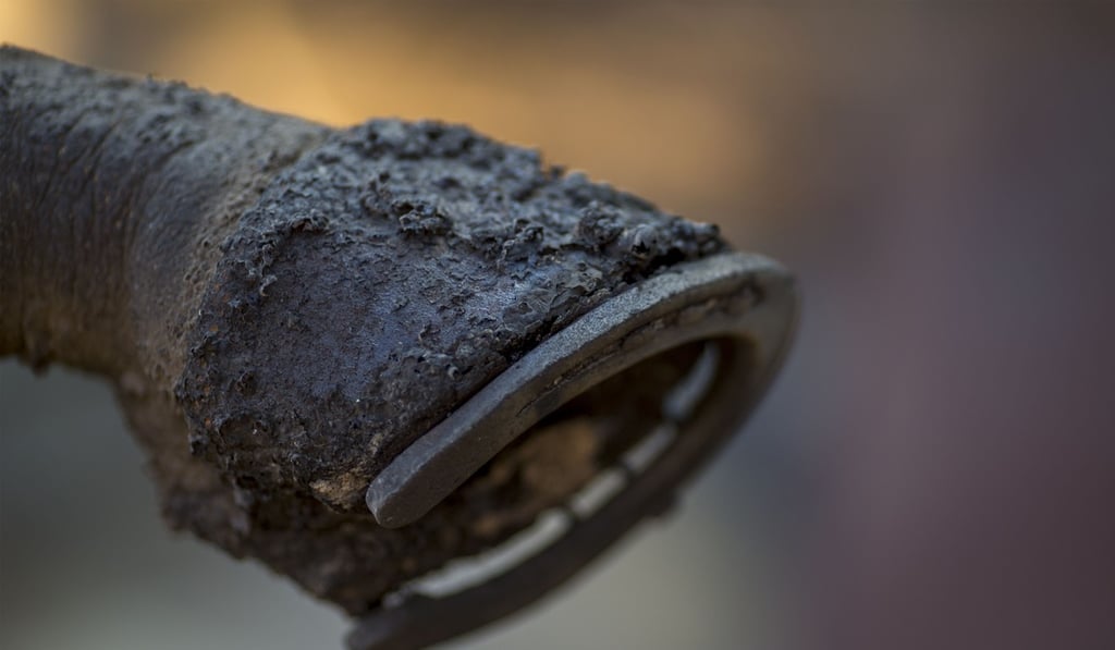 The scorched hoof of a horse killed at a ranch in Sylmar, California. Photo: Agence France-Presse