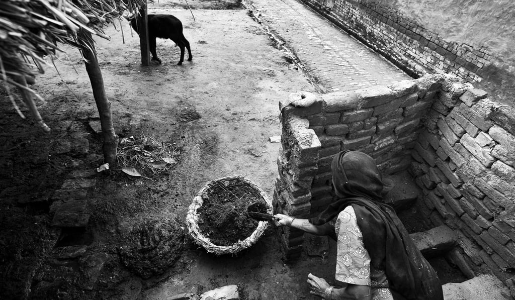 A worker cleans a toilet in Nekpur village, Uttar Pradesh, India. File photo