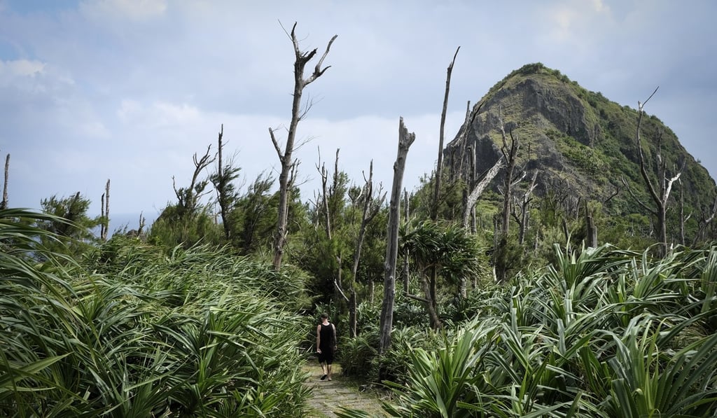 Dead trees line the route for hikers on the Guo Shan Trail on Green Island in Taiwan. Photo: James Wendlinger