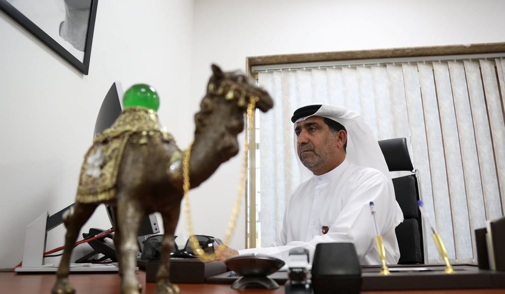 Director Mohamed Al Bulooshi sits in his office at Dubai Camel Hospital in Dubai, UAE. Photo: Reuters