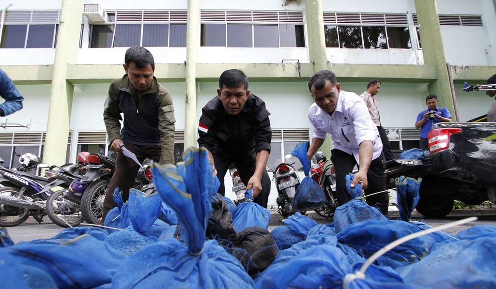 Indonesian officials recover pangolins after a raid in Pekanbaru. File photo: AFP