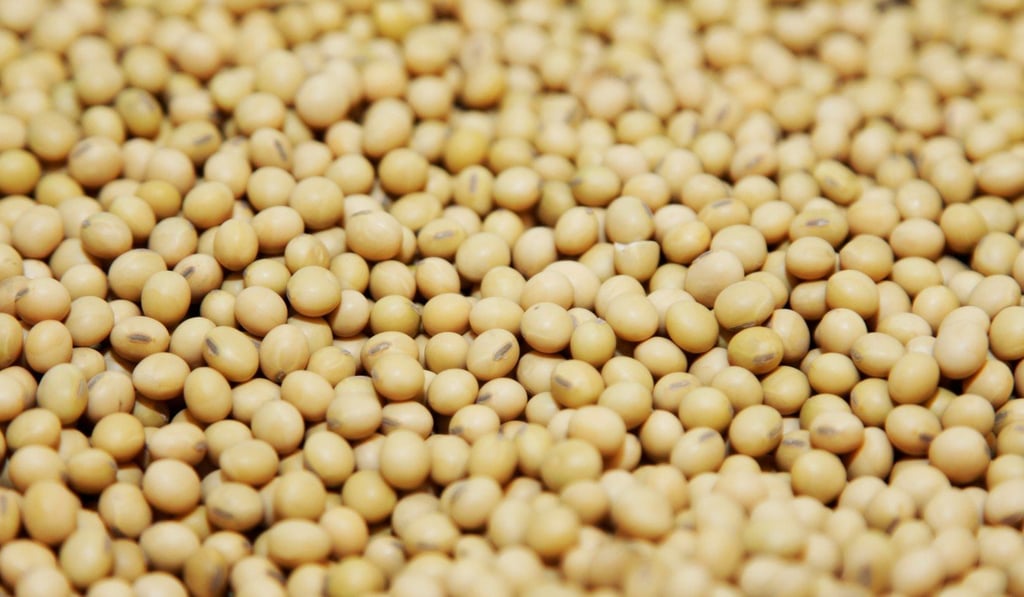 A bushel of soybeans are on display in Missouri. Photo: Reuters