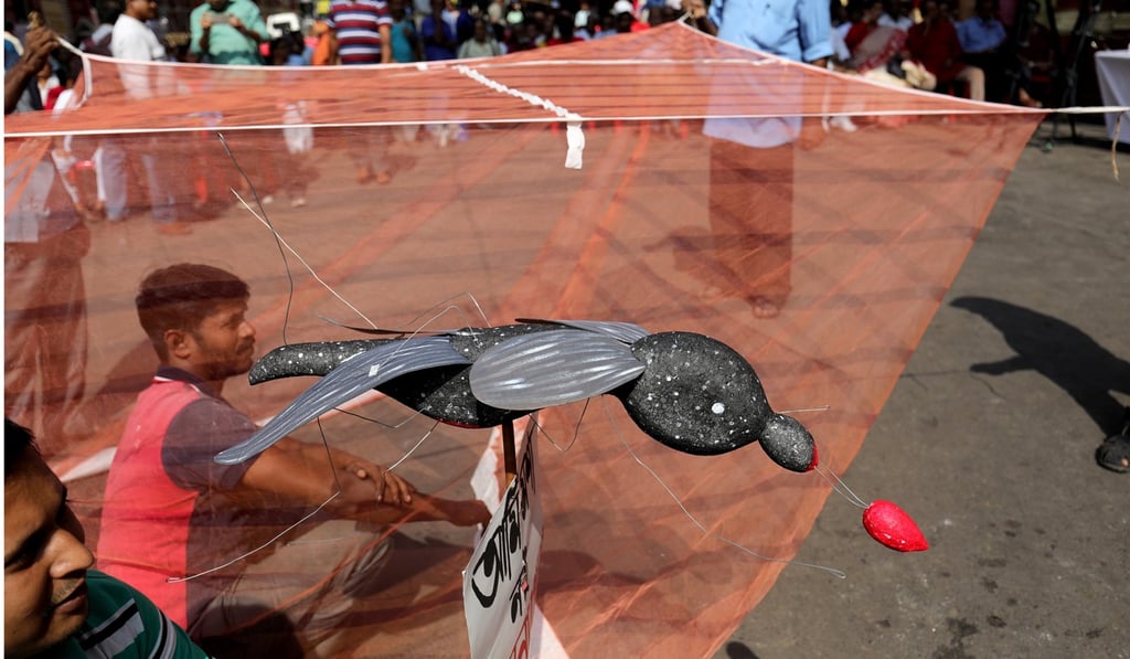 An activist lies down on street under a mosquito net and a model of mosquito to protest over the outbreak of dengue near the office of the mayor in Calcutta, eastern India. Photo: EPA