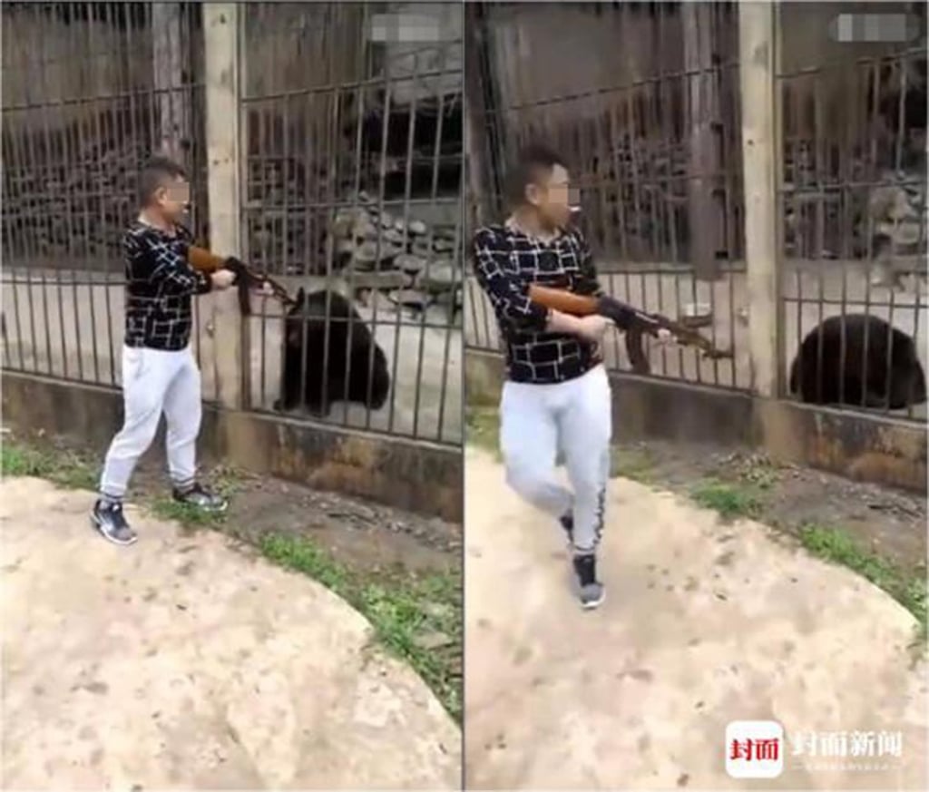 Police in Yunnan said an initial investigation suggested the bear was killed in Myanmar.Photo: Thepaper.cn