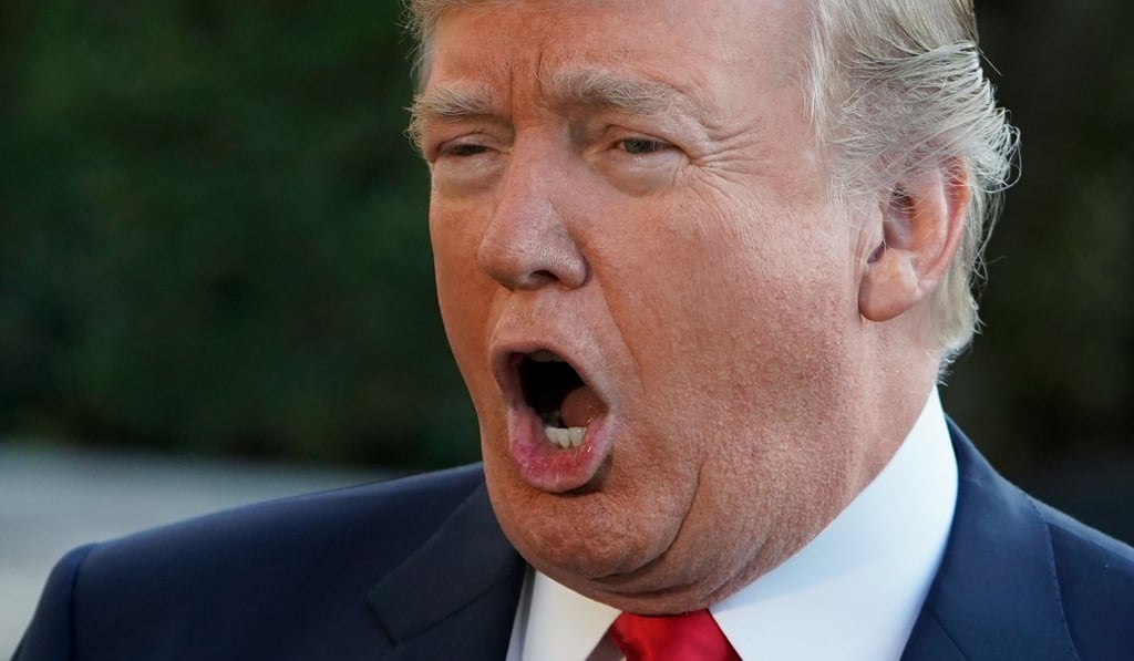 “Dog people are supposed to be loyal, protecting, fair, intelligent, hard-working and sincere. Trump? Photo: AFP