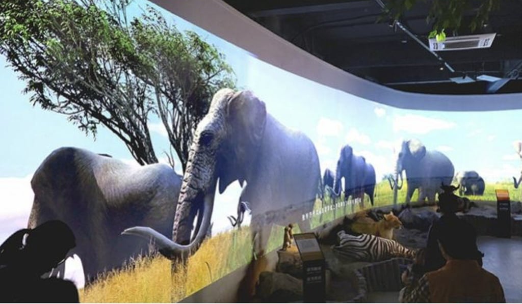 Visitors watch a film about elephants at Guangzhou Zoo. Photo: Southern Metropolis News