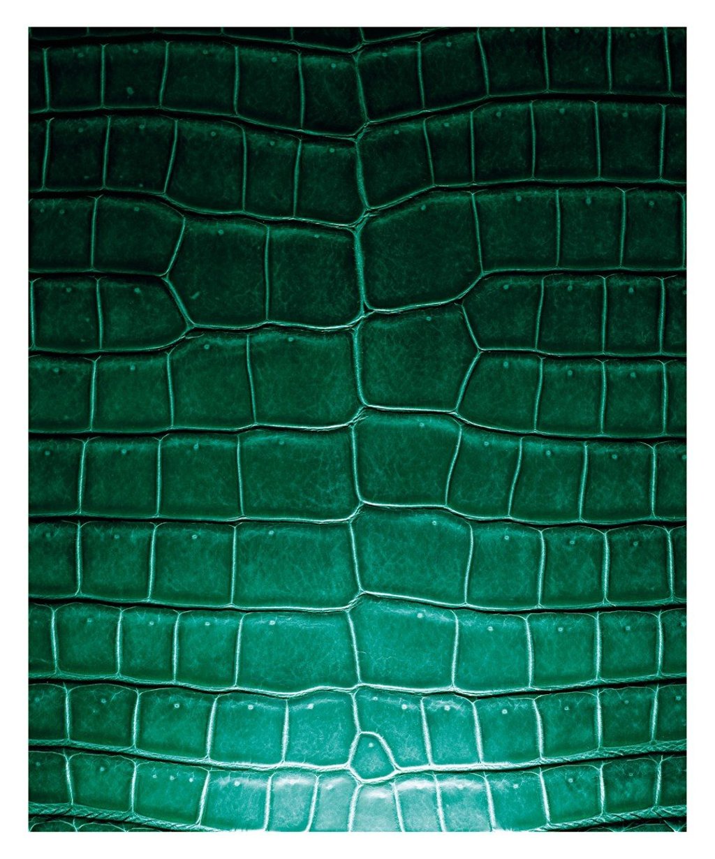 Precious crocodile leather is often used in Hermès leather goods. Precious crocodile leather is often used in Hermès leather goods.