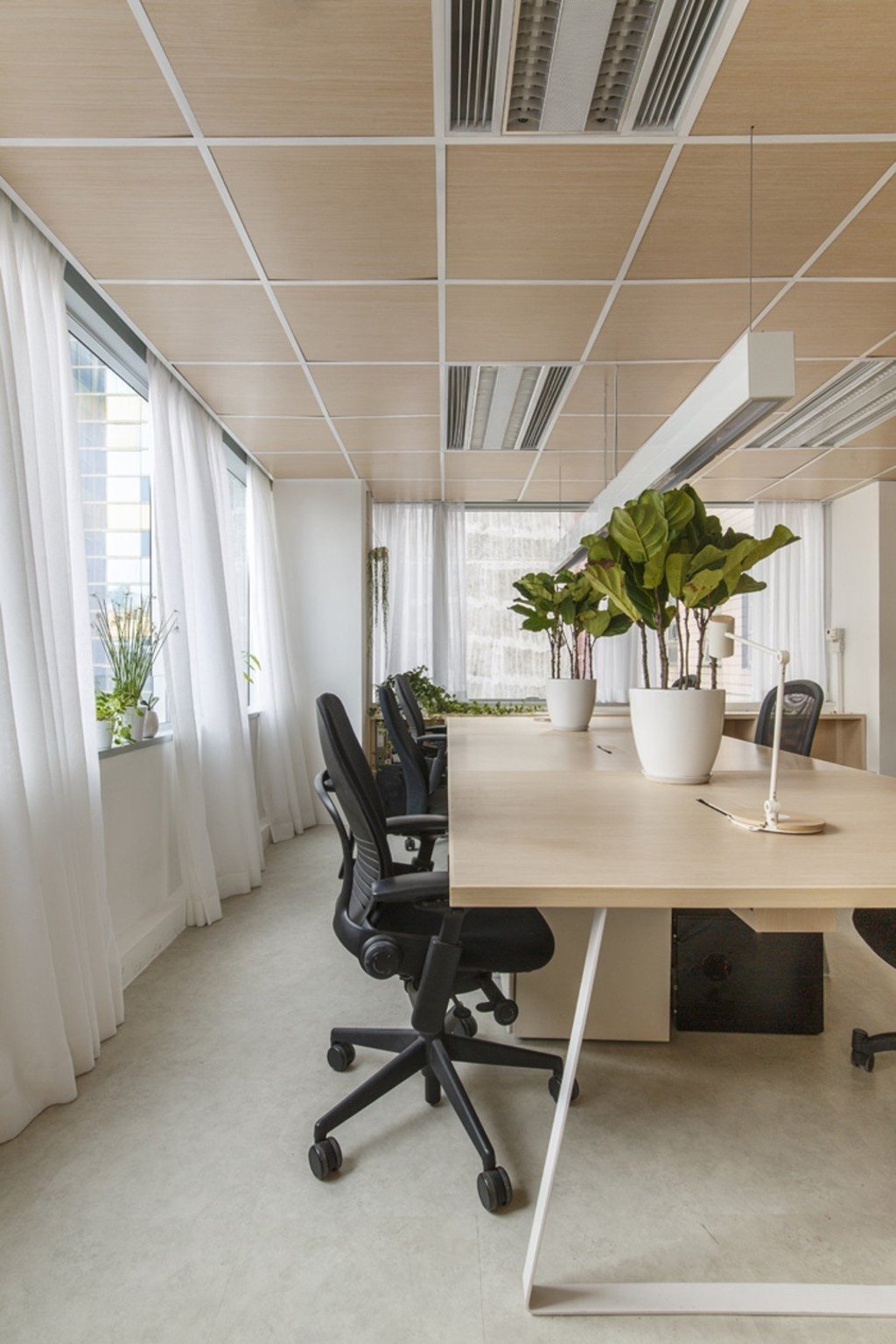 In the Liquid Interiors office in Hong Kong, Rowena Gonzales maintains a formula of one large plant between every four people.
