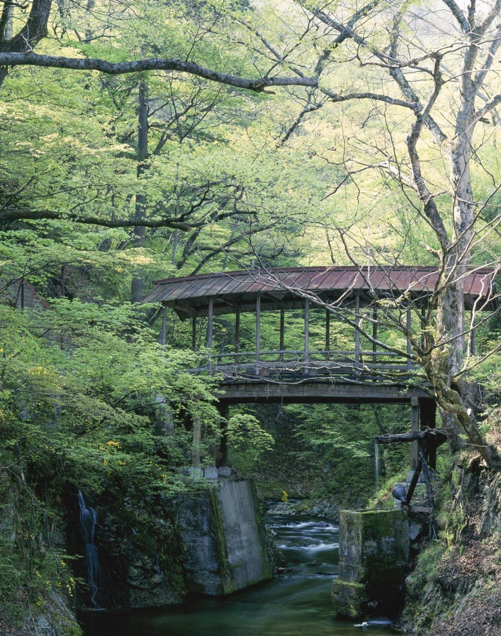 Scenic Kakeyu. Picture: Alamy