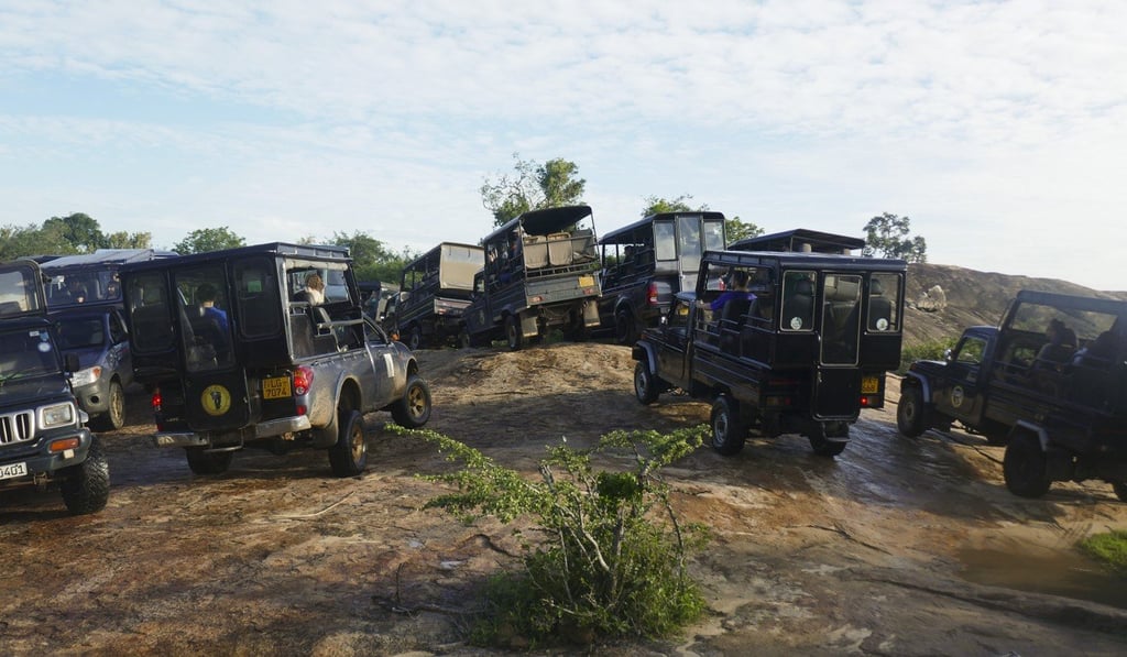 Jeeps tussle to get the best vantage point for their tourists on board who are all hoping to see a leopard. Photo: Jamie Carter