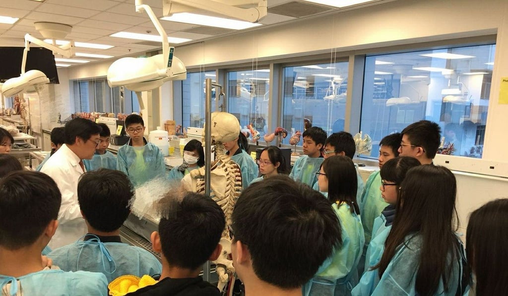 Medical students learning about anatomy in the dissection lab. Photo: HKU Taster