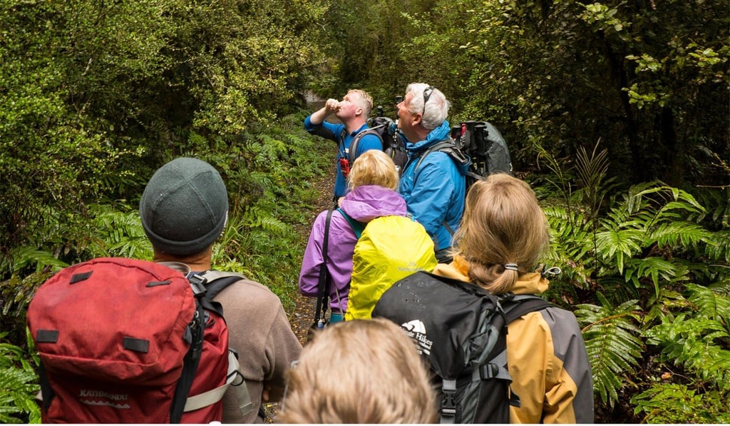 A guide makes bird calls to attract indigenous birds on the Milford Track. Photo: Alamy