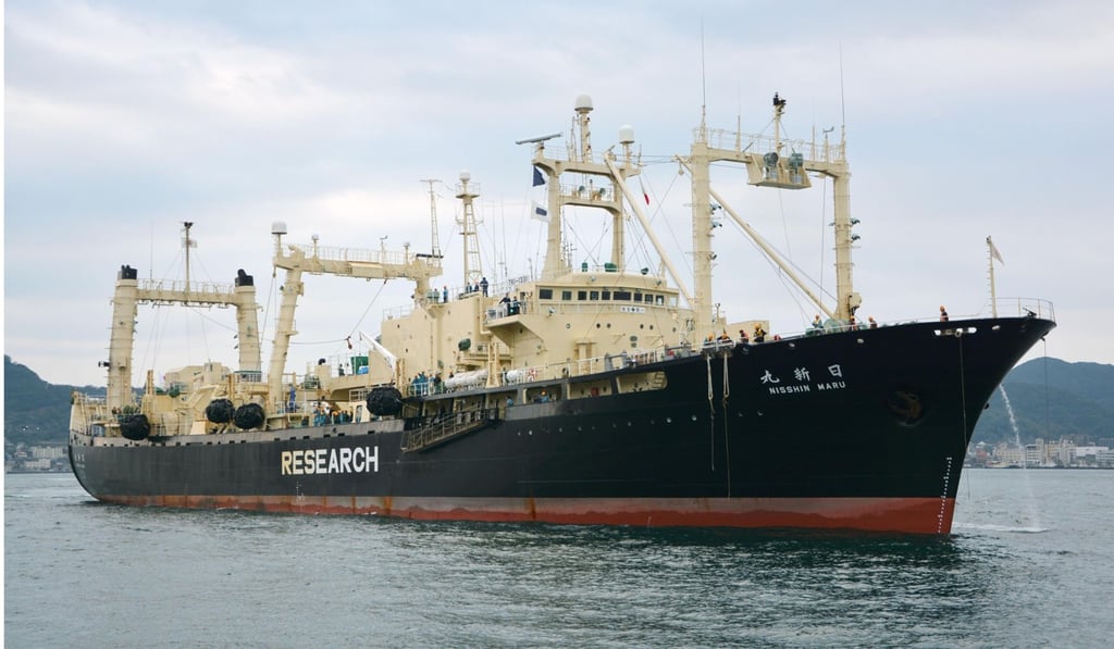 The Nisshin Maru, the 8,145-tonne mother ship of Japan’s whaling fleet, returning to a port in the western Japan city of Shimonoseki. Photo: Kyodo