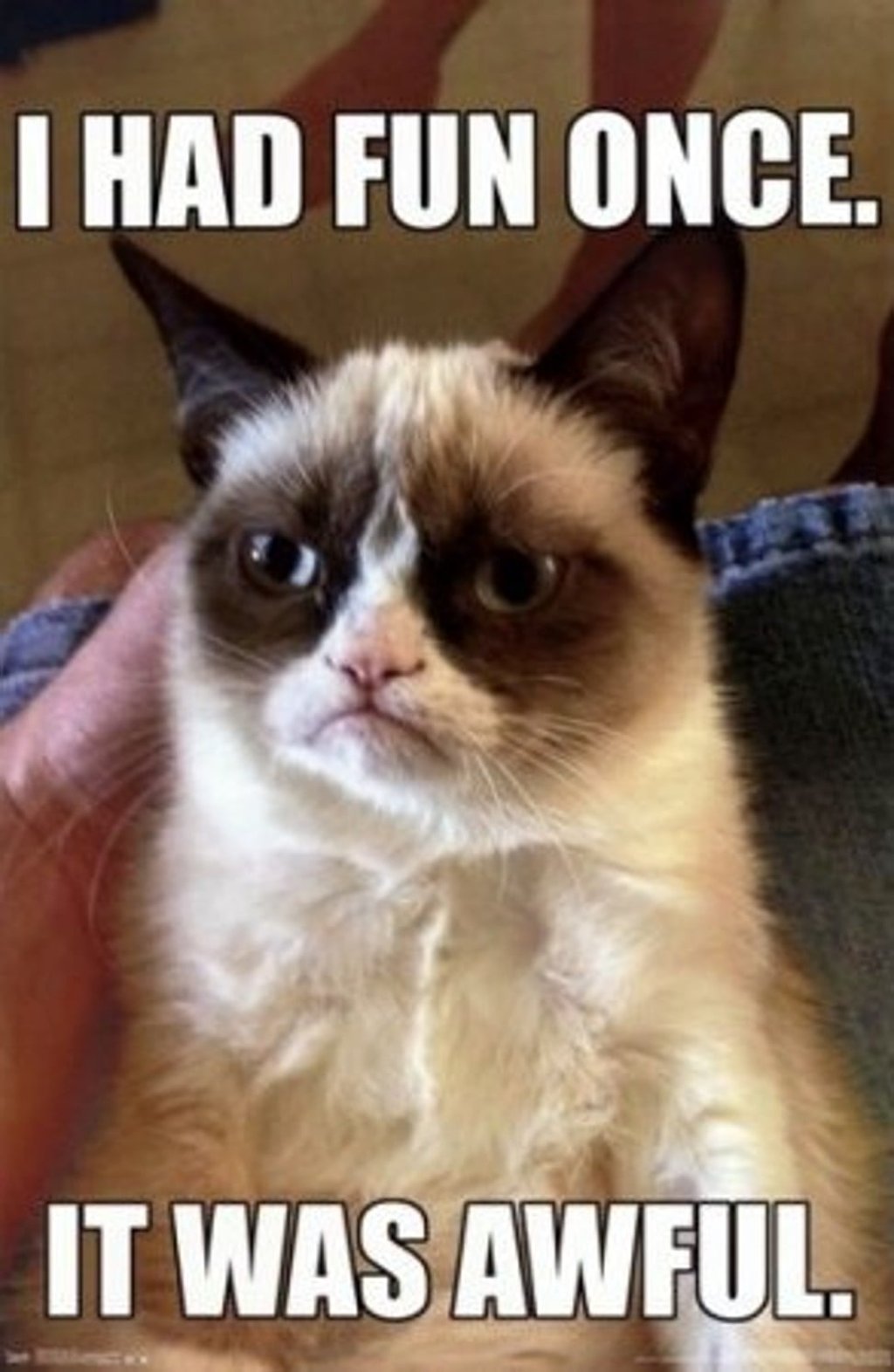 Grumpy Cat, whose dwarfism and underbite give her the permanent frown she’s famous for, became an online phenomenon-turned-merchandising-machine after her owner first posted pictures of her in 2012. Photo: Handout