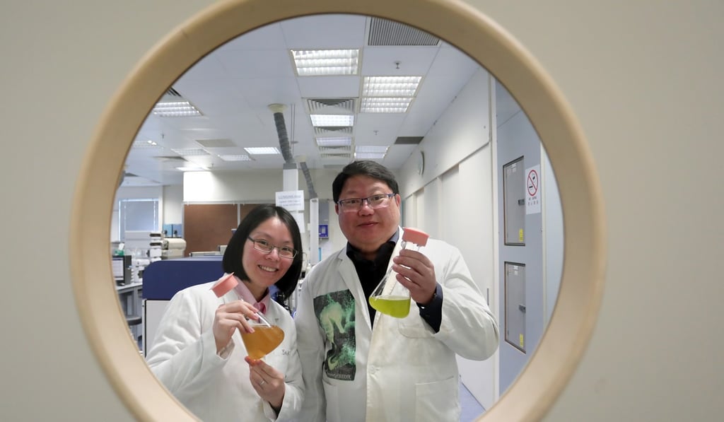 Dr Mana Yung Man-na (left), postdoctoral research fellow at HKU and Professor Kenneth Leung Mei-yee, deputy director of biological sciences are part of the research team. Photo: Jonathan Wong