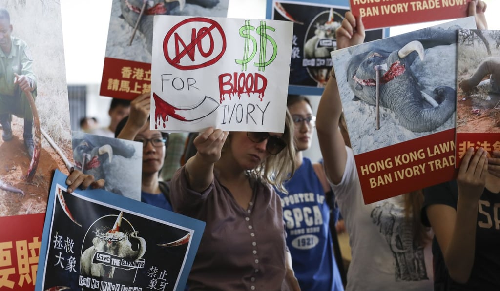 Activists from WildAid and other groups call for a ban on ivory in June last year. Photo: Nora Tam