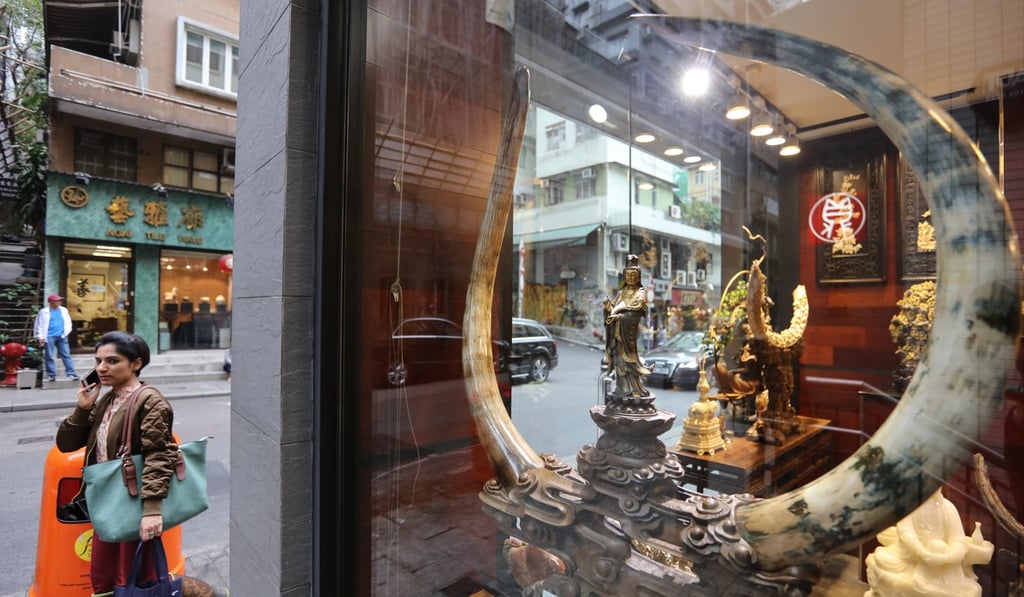 All licences to trade ivory will expire by the end of December 2021. Photo: Felix Wong