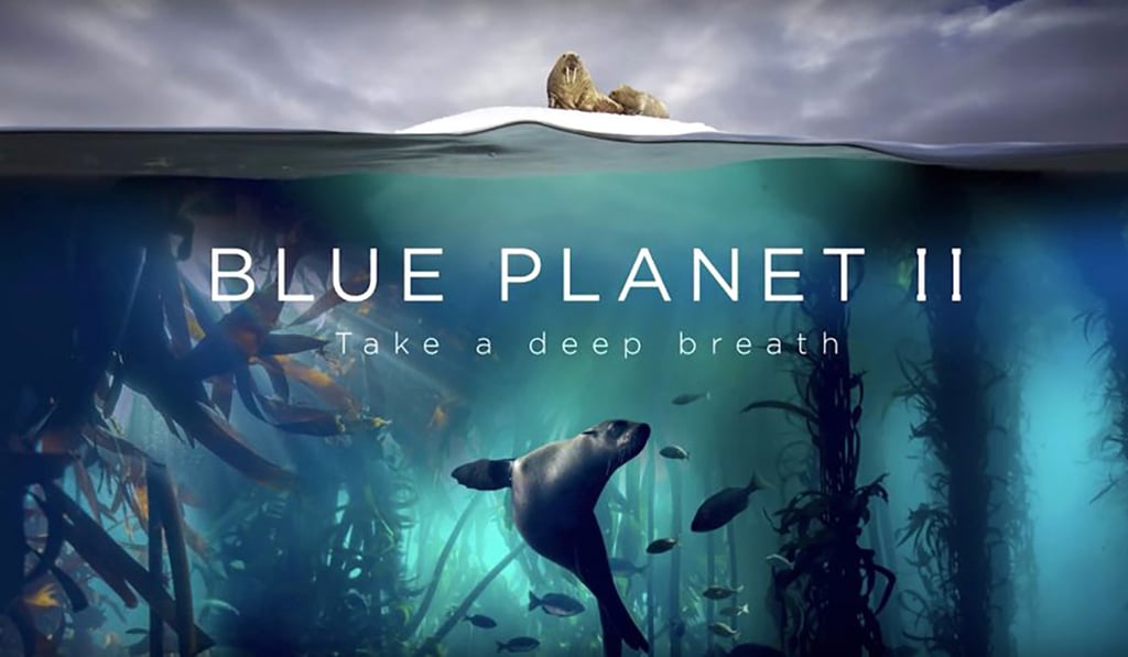 Blue Planet II is popular in China, where millions have watched it online. Photo: BBC Blue Planet II is popular in China, where millions have watched it online. Photo: BBC