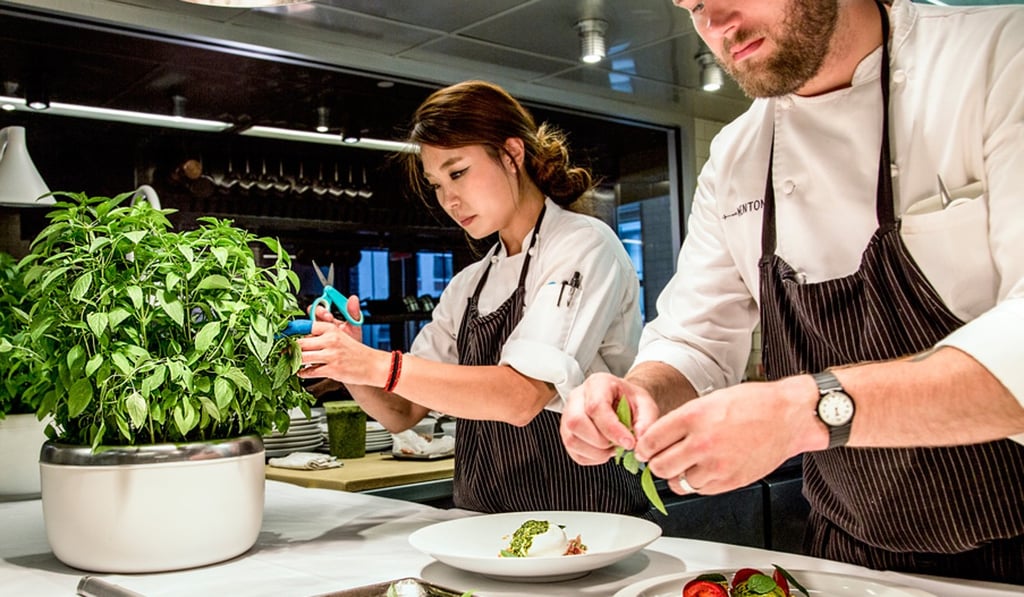 The app-controlled SproutsIO system is being rolled out to Kickstarter backers. The app-controlled SproutsIO system is being rolled out to Kickstarter backers.