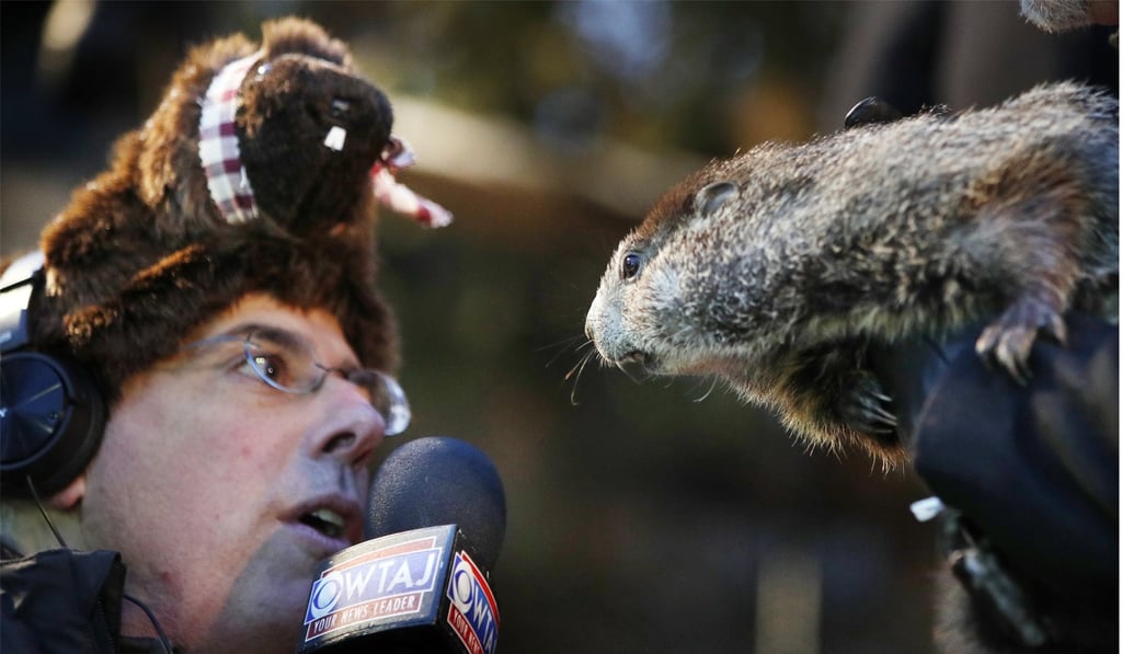 A reporter attempts an interview with Punxsutawney Phil the weather prognosticating groundhog during the Groundhog Day celebration at Gobblers Knob in Punxsutawney, Pennsylvania, on Friday. Phil saw his shadow and predicted six more weeks of winter. Photo: EPA-EFE