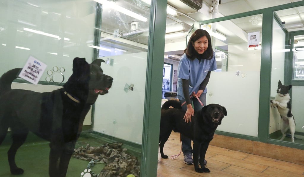 Teresa Lee says society should take animal cruelty seriously. Photo: Nora Tam