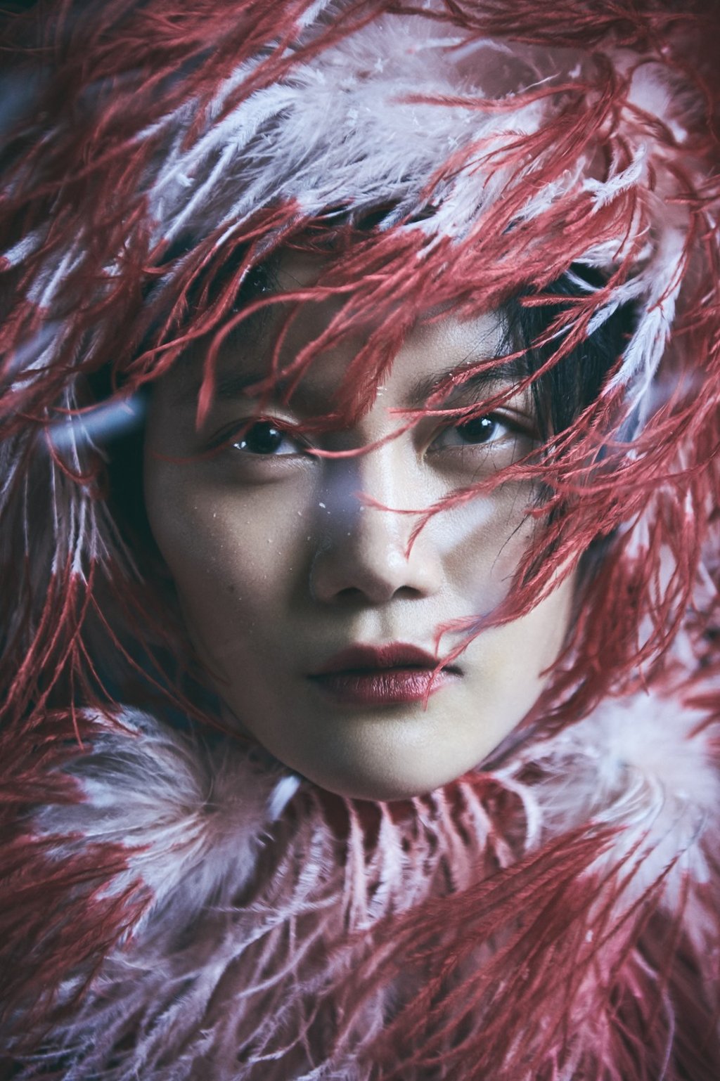 Photography: Olivier Yoan Photography: Olivier Yoan