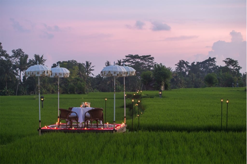 A dining experience in the paddy fields.