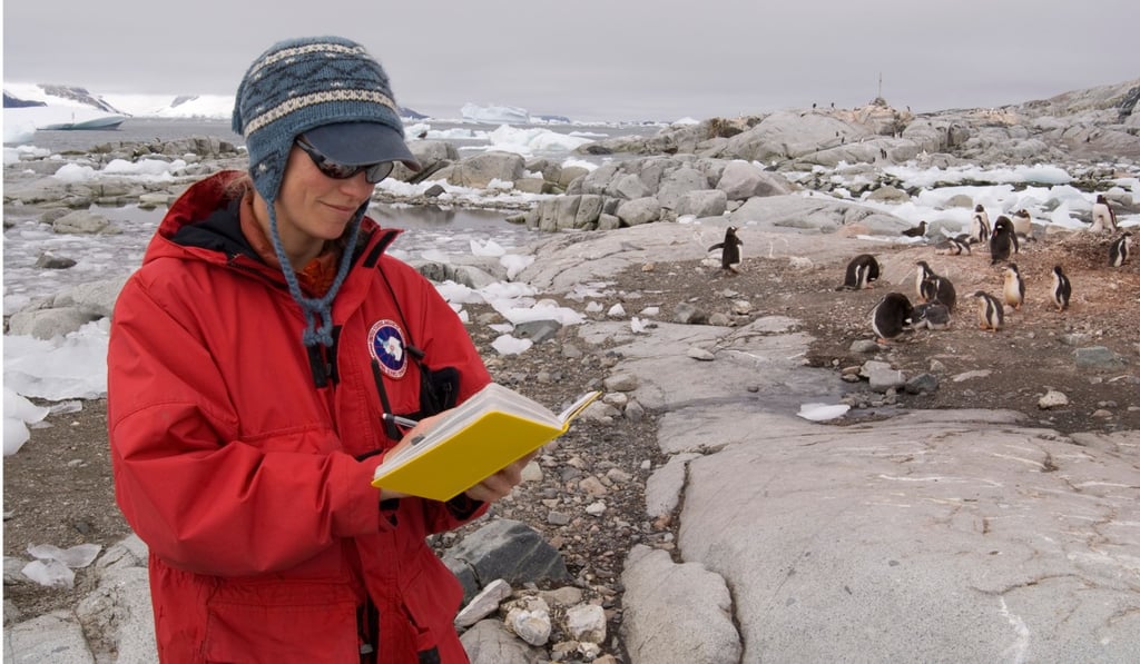 A scientist studies penguins in Antarctica, at the Antarctic Peninsula. Photo: Alamy