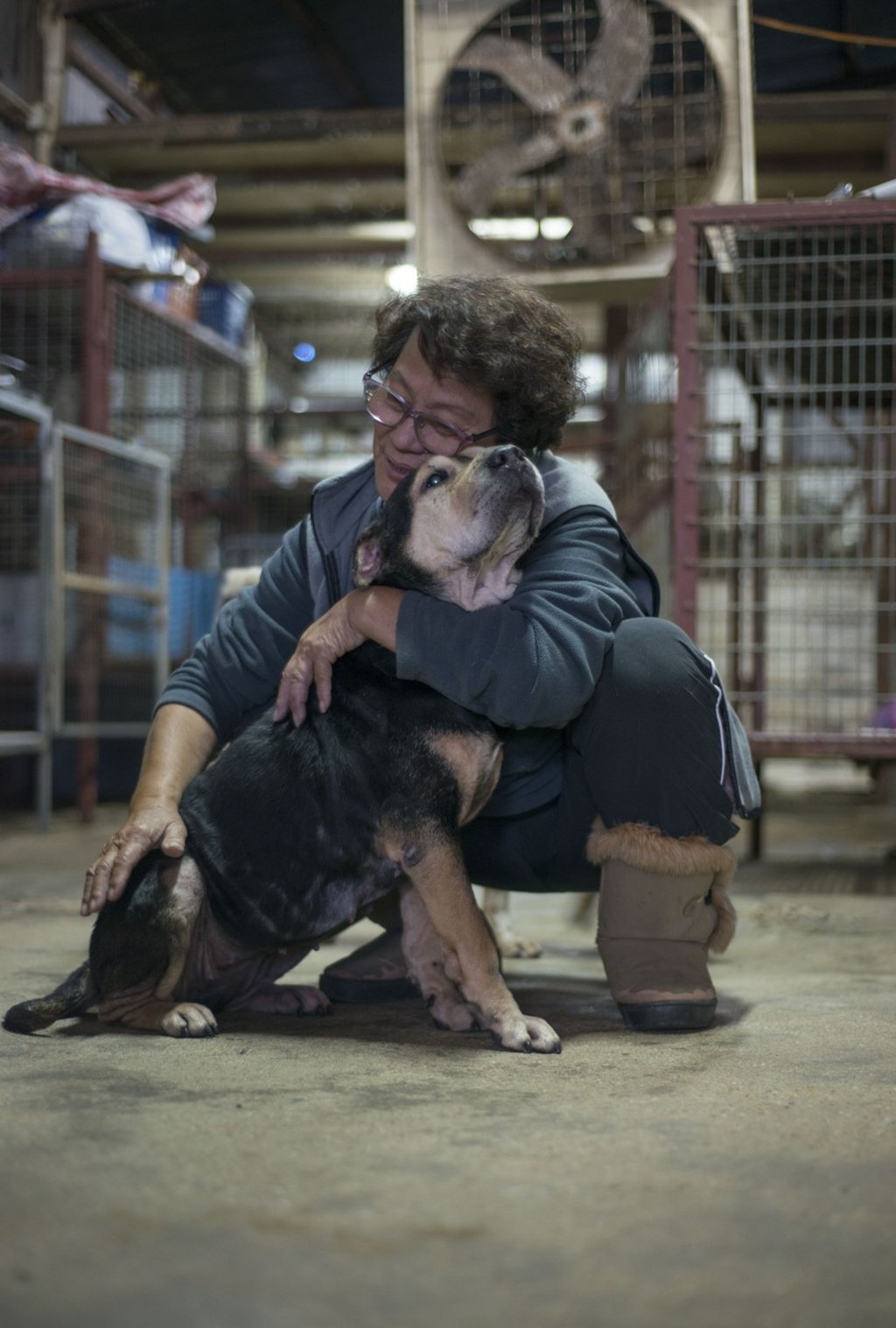 Kwok Wai-mui with Mad Girl at the Chung Sang Yuen Stray Animal Home, in Shek Kong. Picture: Antony Dickson