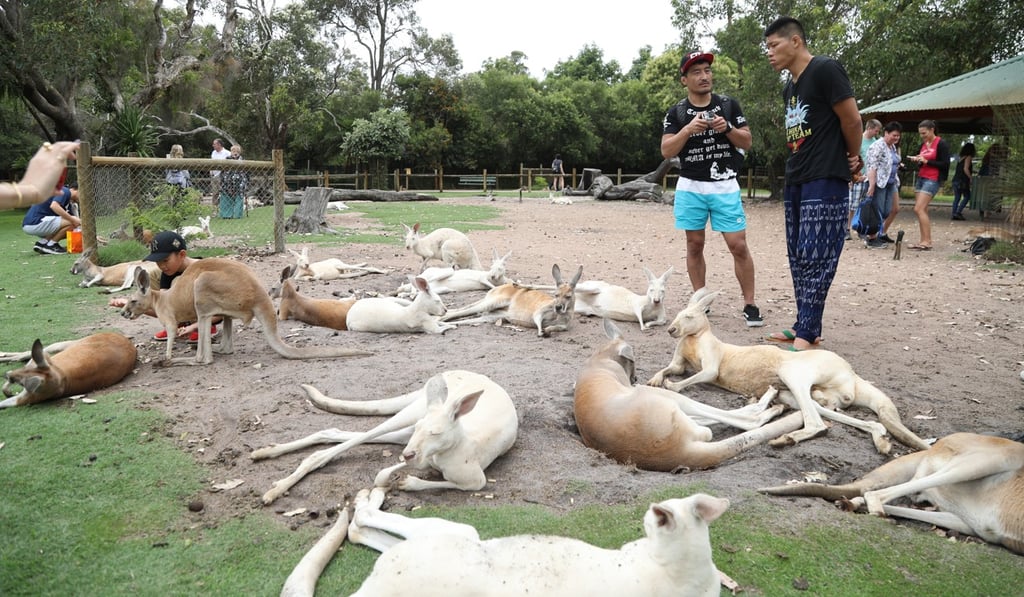 Li is defending a record of 14-4 and is on a four-fight winning streak. Photo: UFC