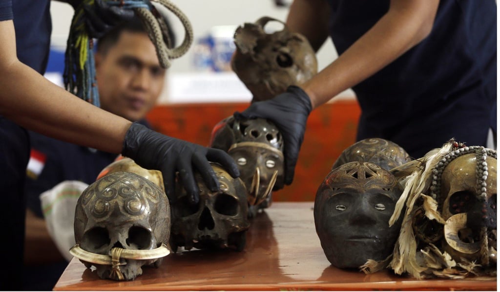Customs officers display some of the 24 human skulls, believed to be from Papua and Kalimantan, after they were stopped from being posted to the Netherlands. Photo: AP Customs officers display some of the 24 human skulls, believed to be from Papua and Kalimantan, after they were stopped from being posted to the Netherlands. Photo: AP