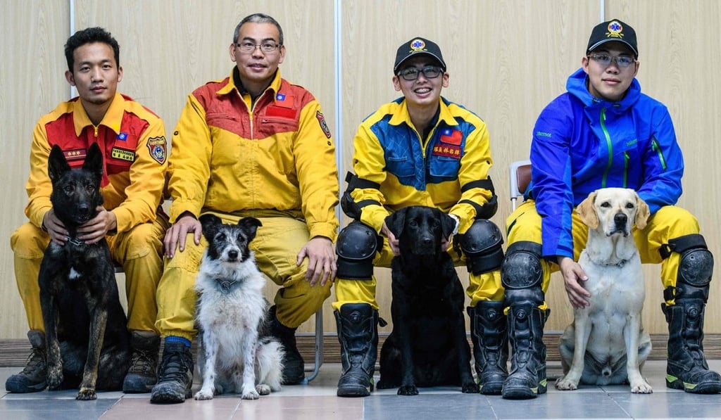 Earthquake search and rescue dog trainers (second from left to right) Chou Tsung-chi (with dog Hsiao Chiang), Lin You-zhun (with dog Tuei Tuei); Li Chun-sheng (with dog Tie Hsiung) and their colleague and dog (left, name unavailable) pose in Hualien. Photo: AFP Earthquake search and rescue dog trainers (second from left to right) Chou Tsung-chi (with dog Hsiao Chiang), Lin You-zhun (with dog Tuei Tuei); Li Chun-sheng (with dog Tie Hsiung) and their colleague and dog (left, name unavailable) pose in Hualien. Photo: AFP