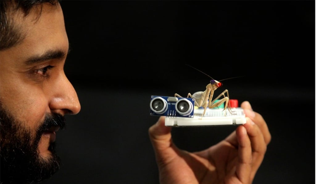 Dr Vivek Nityananda of Newcastle University inspects a praying mantis fitted with miniature 3D glasses. With two teardrop-shaped, light-filtering lenses perched on their heads, the insects lashed out in lab experiments at images of tempting prey in a special 3D film. Photo: Newcastle University via AFP