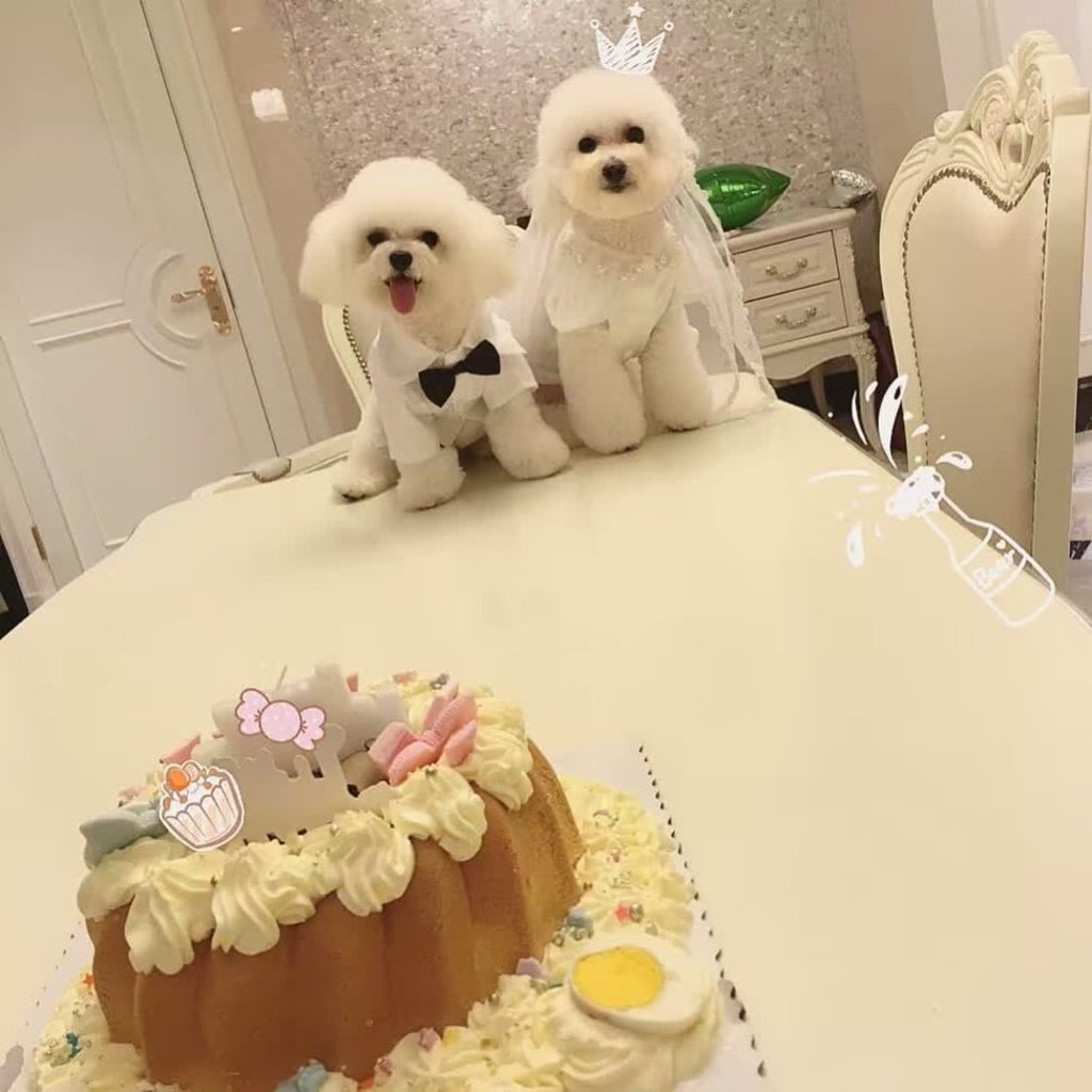 Time for cake at the BlueBone spa. Time for cake at the BlueBone spa.