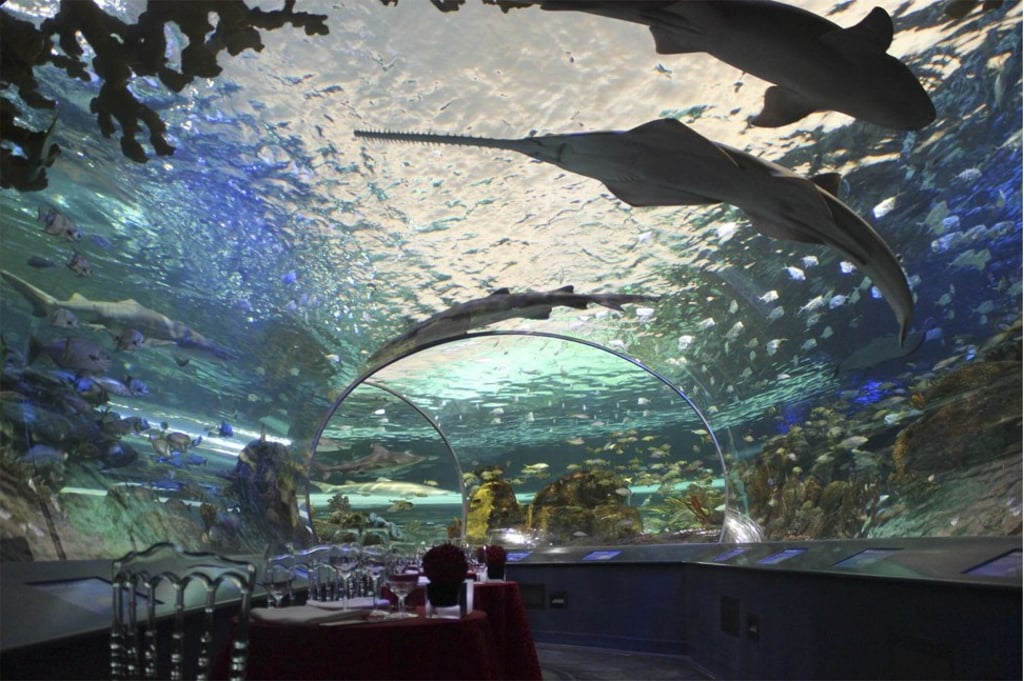Underwater dining at Ripley’s Aquarium. Photo: Ripley’s Aquarium