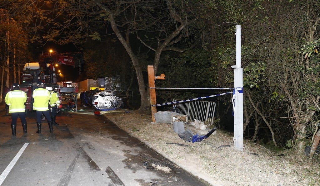 The car hit a speed camera and a tree before catching fire. Photo: Handout