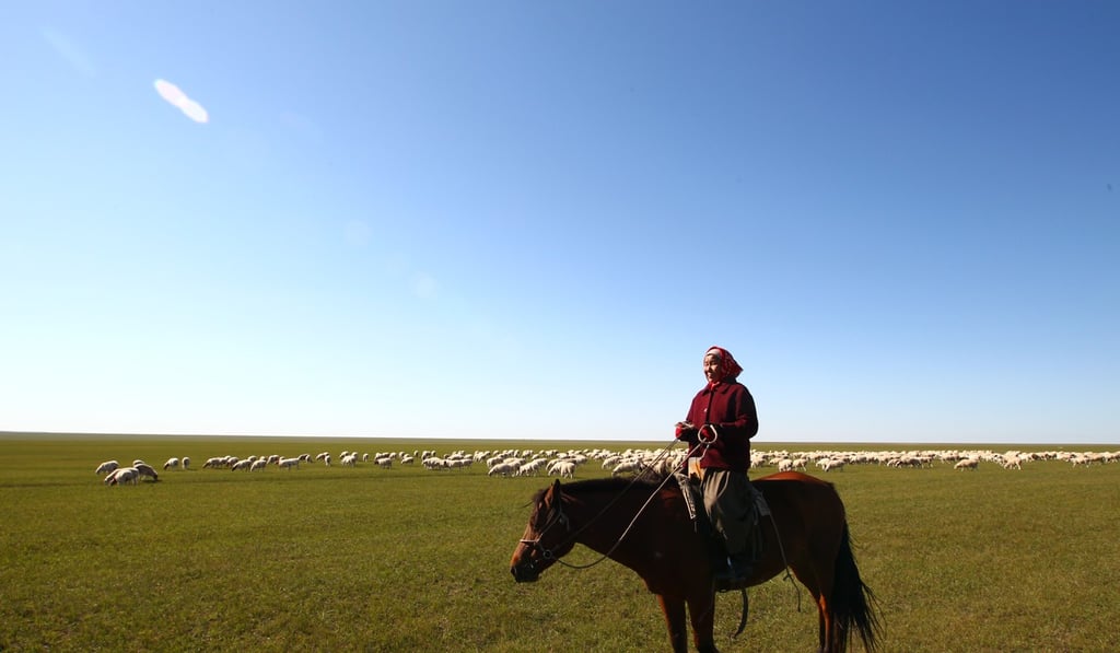 A woman herds sheep on the grassland of Xinbaerhu Zuoqi, Inner Mongolia. The past misuse of rural grasslands by tenants in Inner Mongolian pilot areas supports the Chinese government’s hesitance to fully privatise rural land elsewhere in China. Photo: Simon Song