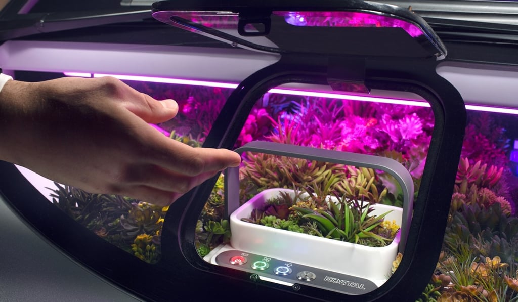 The Rinspeed concept vehicle Oasis has a garden plot behind the windscreen