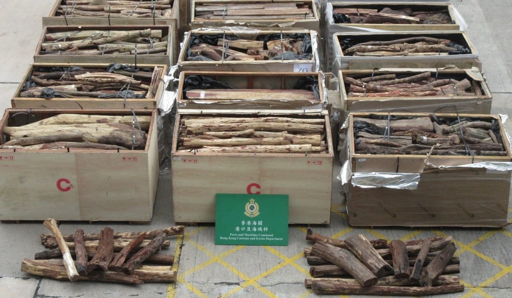 Wood from endangered plants were also among the items that people attempted to smuggle. Photo: Handout Wood from endangered plants were also among the items that people attempted to smuggle. Photo: Handout