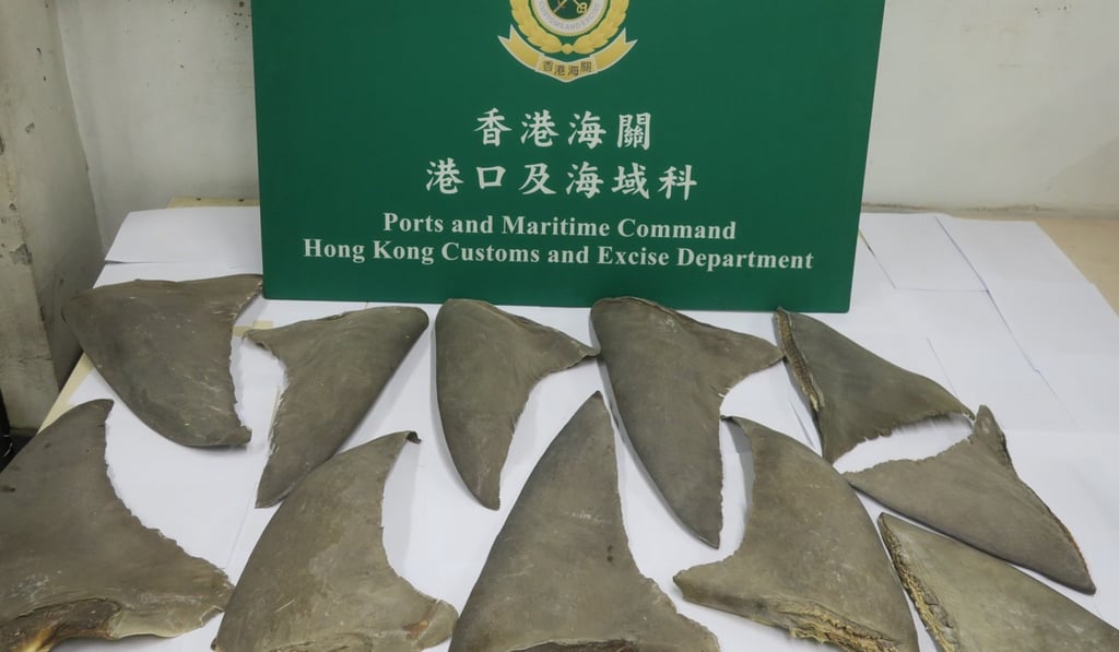 Wildlife products seized included shark fins. Photo: Handout Wildlife products seized included shark fins. Photo: Handout
