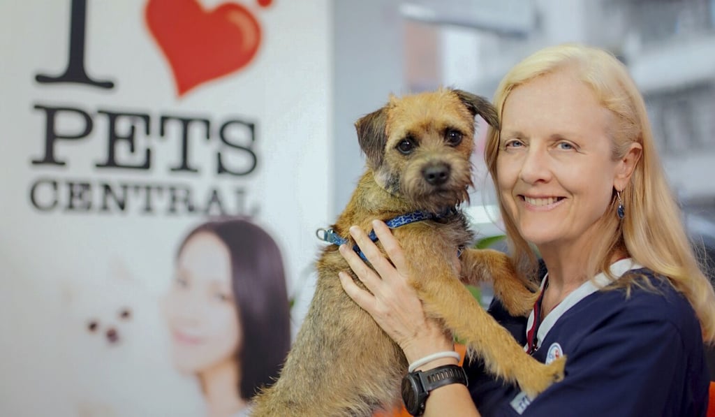Vet Dr Pauline Taylor believes some dogs are dressed in boots simply to please owners.
